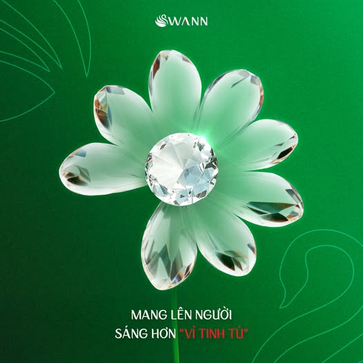 MANG LÊN NGƯỜI – SÁNG HƠN “VÌ TINH TÚ